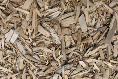 biomass boilers Seven Ash
