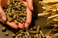 free Seven Ash biomass boiler quotes